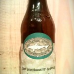 Dogfish Head 60 Min IPA