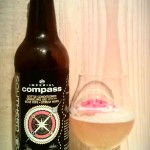 Southern Tier Compass